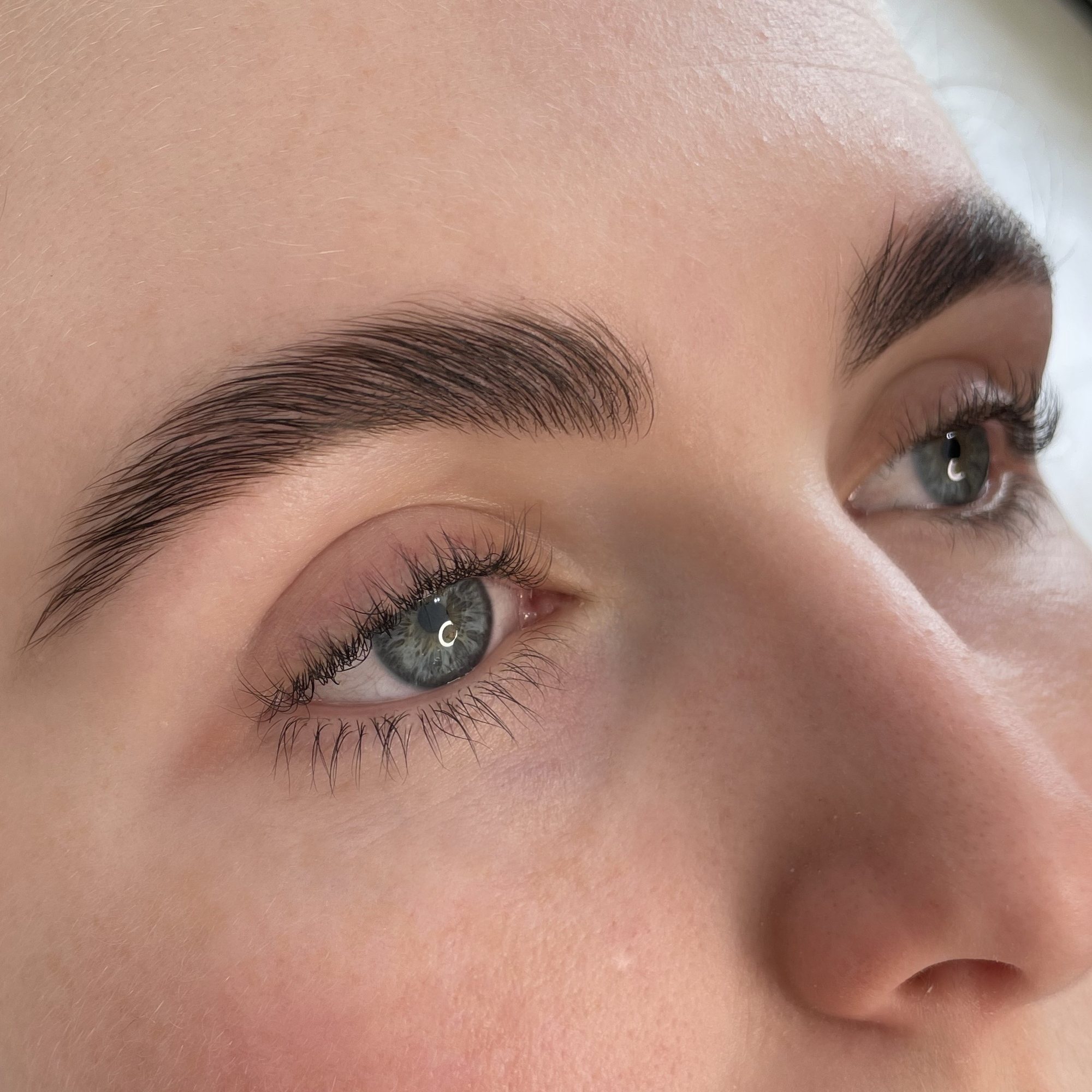 Brows 8
