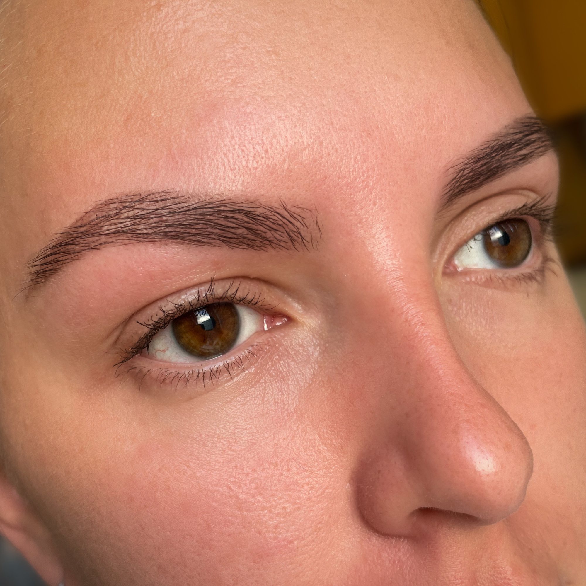 Brows 2
