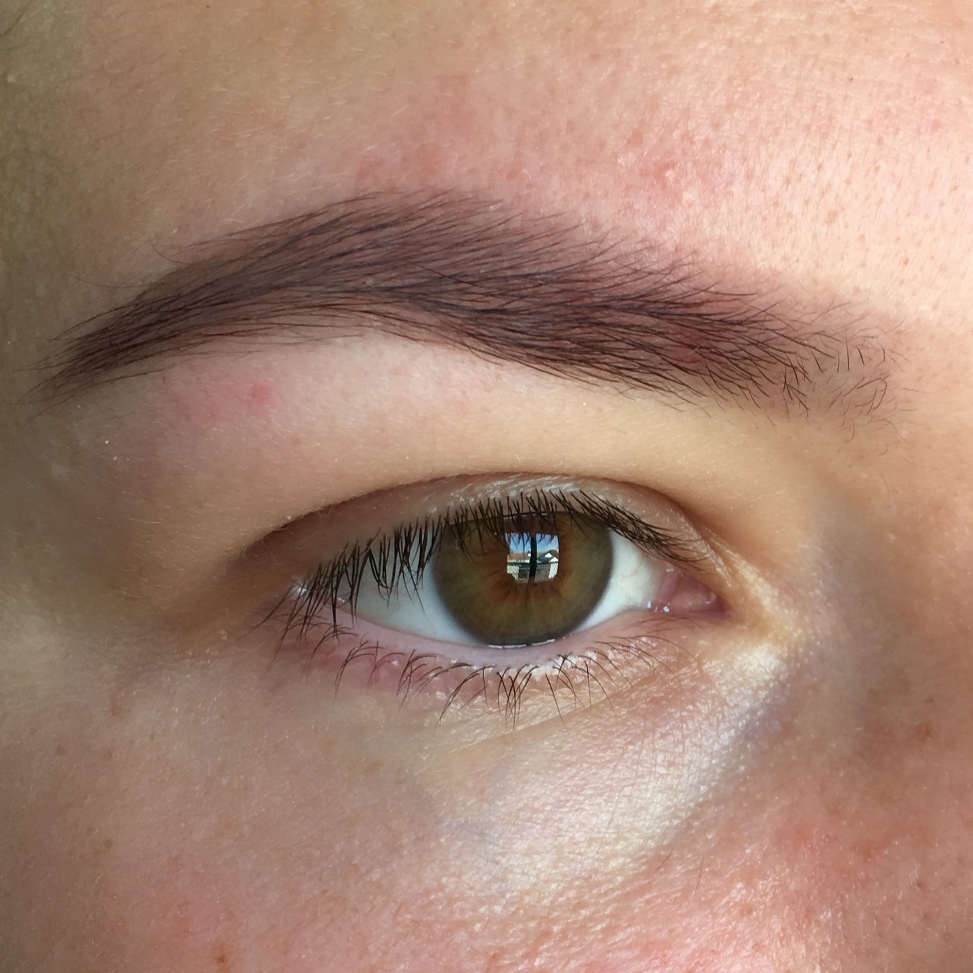 Brows 1