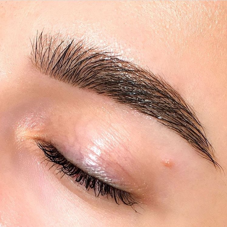 Brows 6