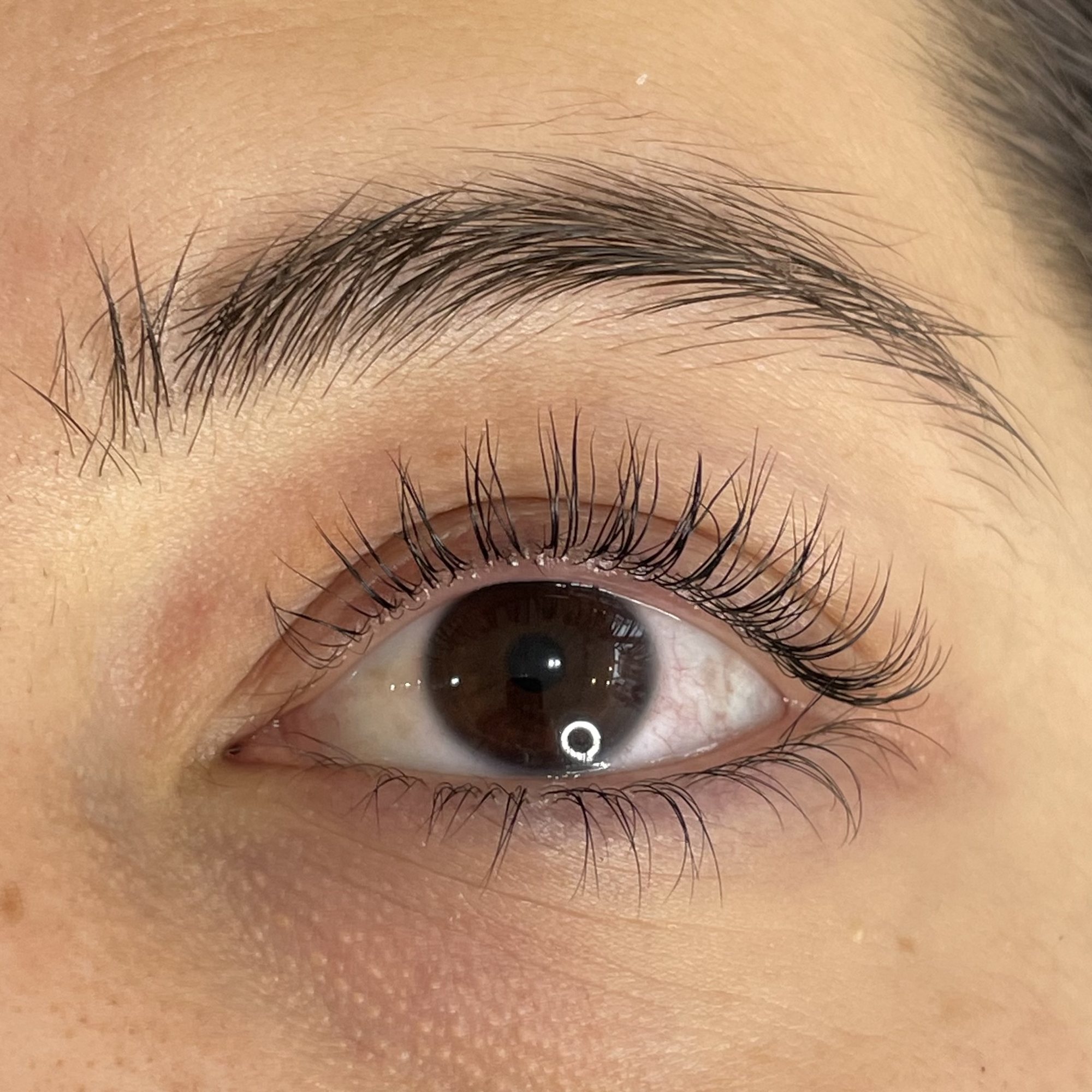 Brows 4