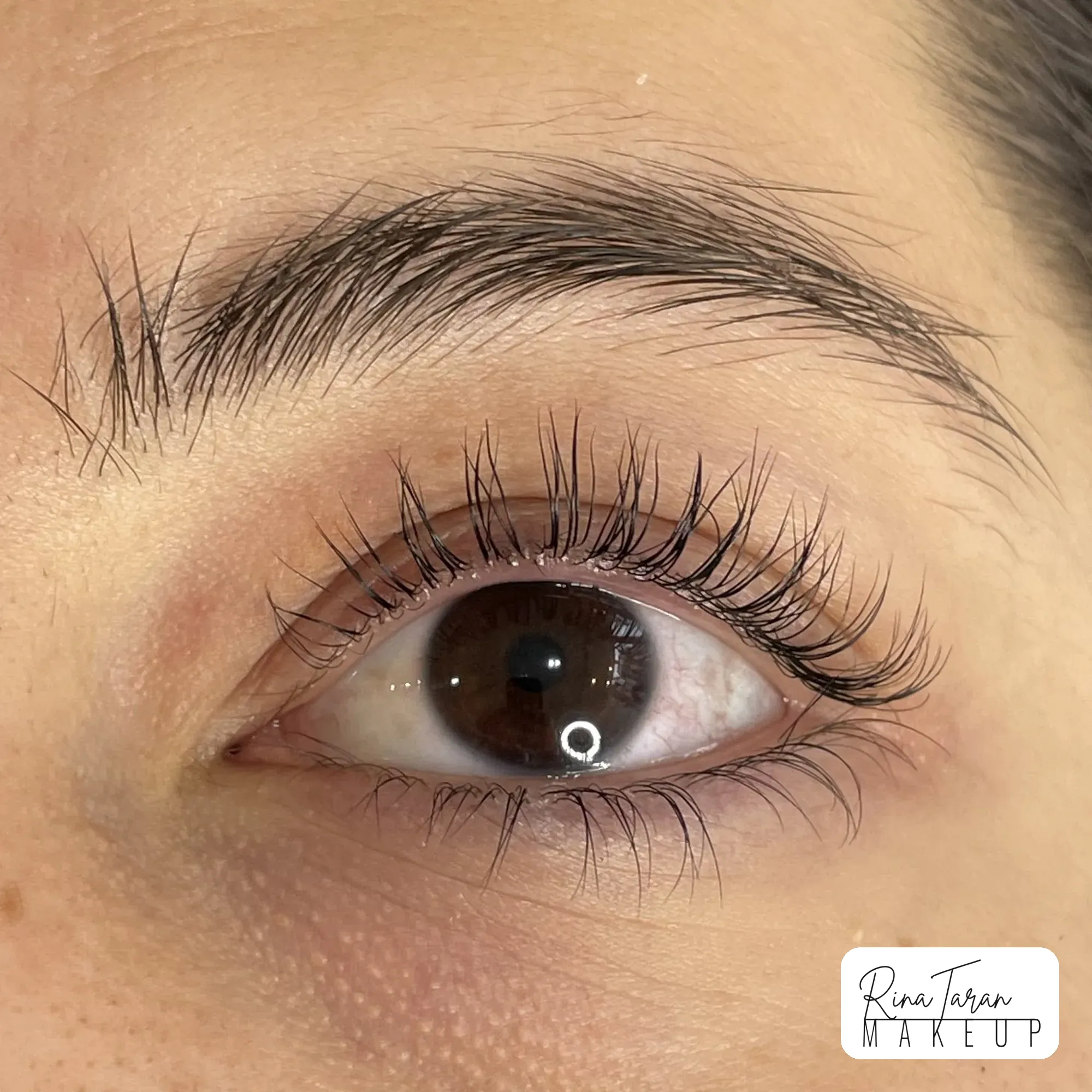 Lash lift result, part of a mobile brow and lash booking